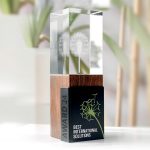 statuetka szklana 3d